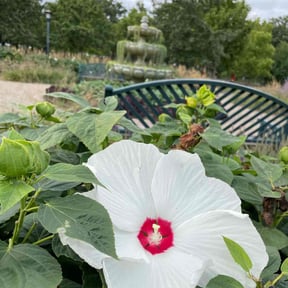 Cleanups by JR Lawn Maintenance reviewed on August 3, 2022