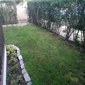 Leaf Removal by All Phase Property Management LLC reviewed on May 8, 2022