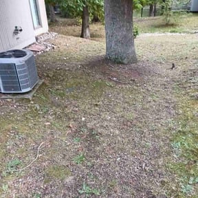 Leaf Removal by B&t lawn service reviewed on April 21, 2022