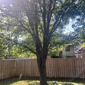 Landscaping by Enclave Landscape Management reviewed on July 7, 2022