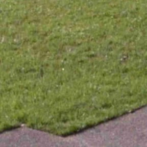Leaf Removal by Arbor Pro Tree & Landscaping reviewed on June 5, 2025