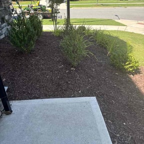 Cleanups by Total Landscaping reviewed on July 8, 2022
