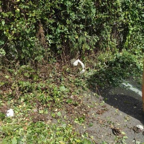 Landscaping by S&E lawn services reviewed on March 16, 2022