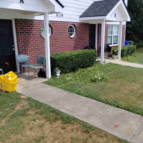 Bush Trimming by Cash's Mowing Service reviewed on March 12, 2025