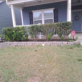 Bush Trimming by Morel Lawn & tree service reviewed on July 7, 2022