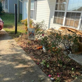 Bush Trimming by LCT Lawn Care reviewed on September 11, 2021