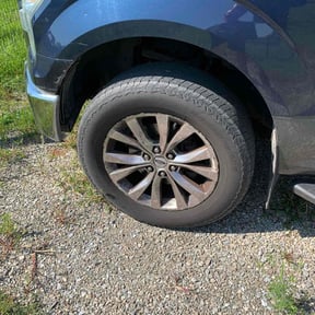 Bush Trimming by LOCAL Landscaping & Lawn Maintenance reviewed on October 19, 2022