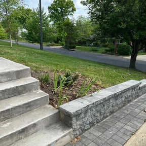 Flower Bed Weeding by Superior Landscape & Maintenance, Inc. reviewed on June 1, 2022