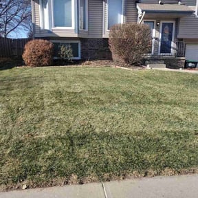 Leaf Removal by Lawn Pro reviewed on June 25, 2022