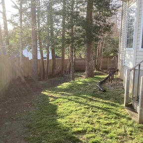 Leaf Removal by Type A Lawn Guy reviewed on June 24, 2025