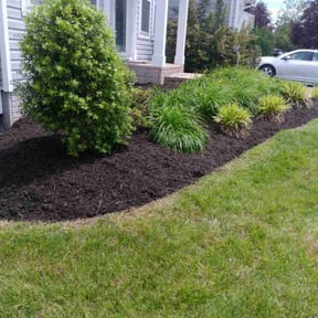 Mulching by Lawn services JAV reviewed on June 2, 2025