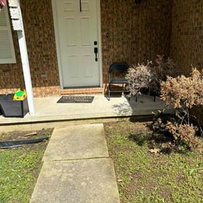 Leaf Removal by Louie services reviewed on August 2, 2022
