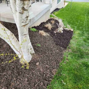 Mulching by EV Great Valley Landscaping,LLC. reviewed on June 9, 2022