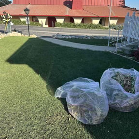Leaf Removal by Little Flower Home Service reviewed on June 22, 2025