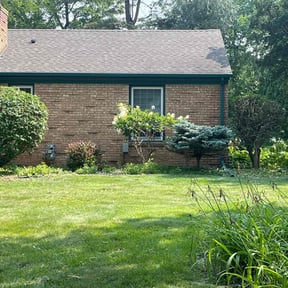 Bush Trimming by Nieves lawn care reviewed on January 31, 2022