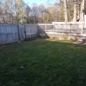 Leaf Removal by Willie's Mobile Lawn Services reviewed on June 16, 2022