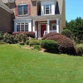 Bush Trimming by Komodo landscaping llc reviewed on September 23, 2024