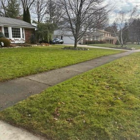 Leaf Removal by Miller Lawn Service reviewed on June 7, 2022