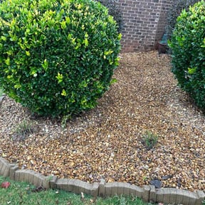 Flower Bed Weeding by T &amp;O Landscape Service LLC reviewed on June 20, 2024