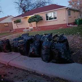 Leaf Removal by Landscaping V&K. reviewed on August 6, 2024