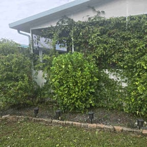 Flower Bed Weeding by LaFloridaLawnCare reviewed on August 7, 2025