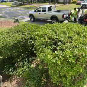 Bush Trimming by Innovative designs llc reviewed on May 13, 2022