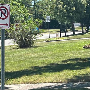 Bush Trimming by DTE Maintenance Llc reviewed on August 9, 2024