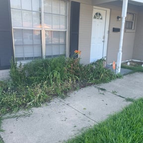 Flower Bed Weeding by Flowers Lawn and Landscape Maintenance reviewed on August 9, 2025