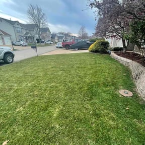 Cleanups by Amanda's Tree Trimming & Lawn Care Services reviewed on July 1, 2025