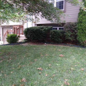 Bush Trimming by PNC Delivery Express reviewed on October 3, 2024