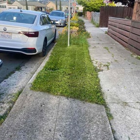 Flower Bed Weeding by Scott's Landscape and pool service reviewed on May 9, 2025