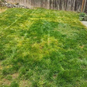 Cleanups by Coates Cutz Complete Lawn Care reviewed on April 4, 2022