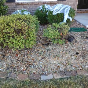 Flower Bed Weeding by Yard pro reviewed on August 23, 2024