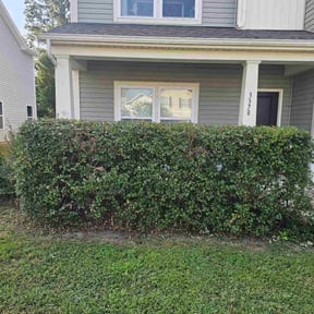 Bush Trimming by Guadalupe reviewed on October 8, 2024