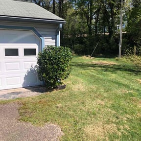 Bush Trimming by Brooks lawn care reviewed on May 12, 2022
