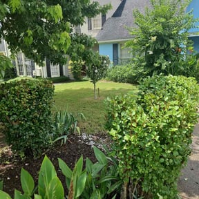 Bush Trimming by Towery's Lawn Care reviewed on April 5, 2022