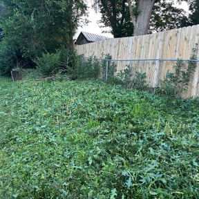 Weeding by I Love Grass reviewed on August 4, 2022