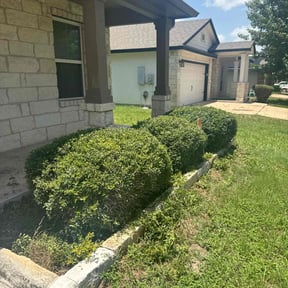 Bush Trimming by Stephens Lawn Care reviewed on August 4, 2022