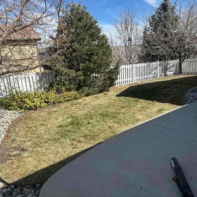 Leaf Removal by Old Skool Outdoorz, LLC reviewed on July 11, 2022