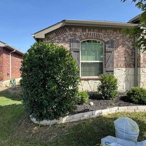 Bush Trimming by Jcs lawn care reviewed on July 19, 2022