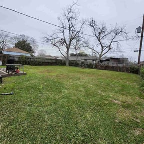 Leaf Removal by Shortys handyman lawn and snow removal reviewed on July 7, 2022