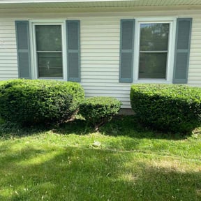 Bush Trimming by Valmont Landscaping and Construction reviewed on October 3, 2020