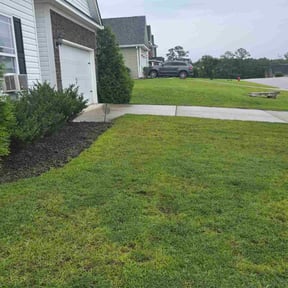 Weeding by Limelight Lawns LLC reviewed on January 11, 2025