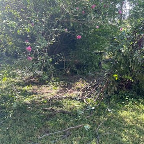 Cleanups by BALBOYS LAWNCARE SOLUTIONS LLC reviewed on August 24, 2020