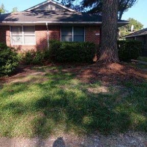 Cleanups by T's lawn care reviewed on April 4, 2025