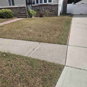 Flower Bed Weeding by K2 landscape and maintenance reviewed on July 11, 2022