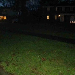 Leaf Removal by Complete Lawn Care and Landscapes reviewed on July 19, 2020