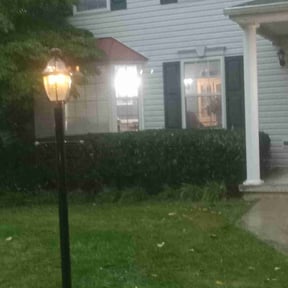 Bush Trimming by First Brick Lawn Service reviewed on July 7, 2022