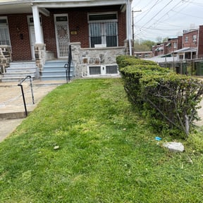 Bush Trimming by LSLTDallas/FortWorthTruGreen reviewed on June 3, 2025