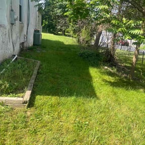 Leaf Removal by Superior lawn maintenance reviewed on June 20, 2022